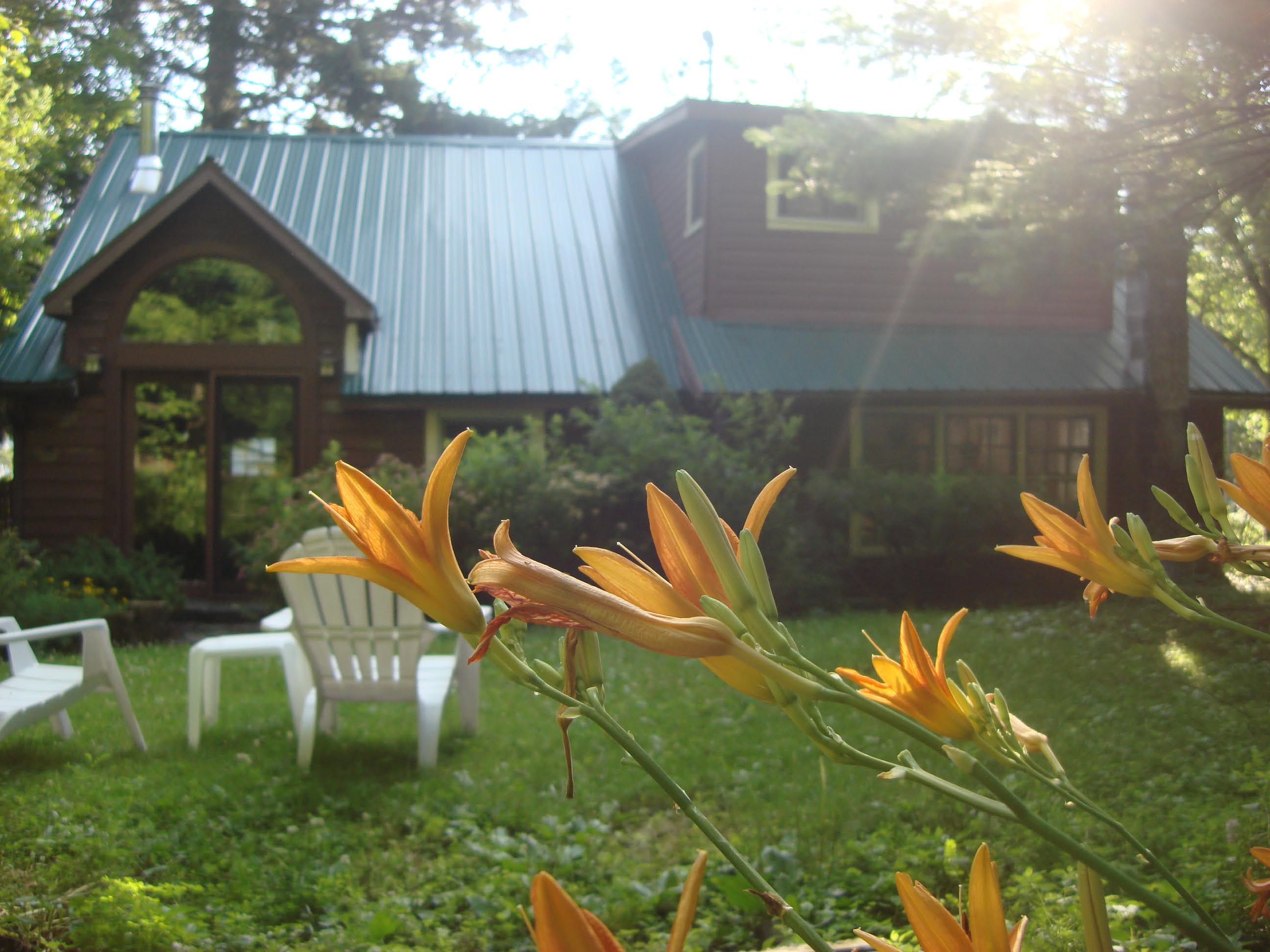 Garden and house exterior, West Shokan, NY09 Copy (2) Vin de Vie