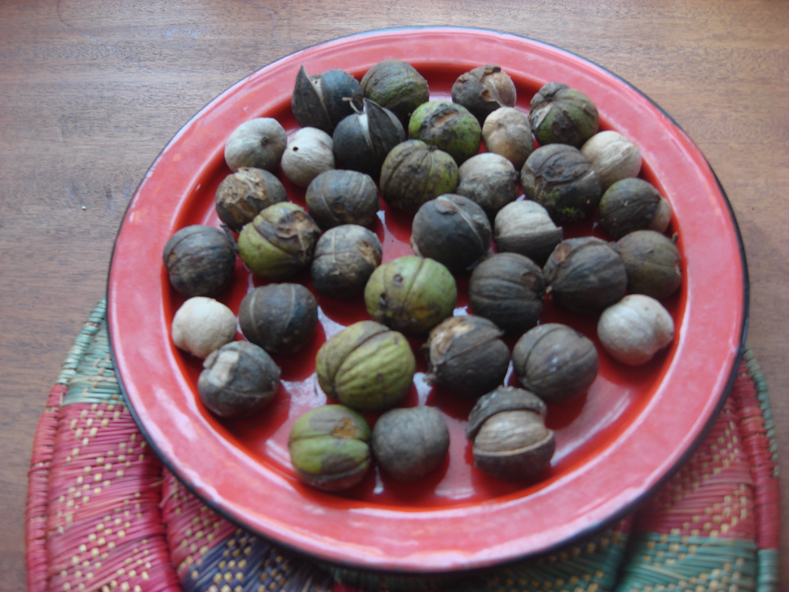 DSC00010 Vin de Vie Wine of Life